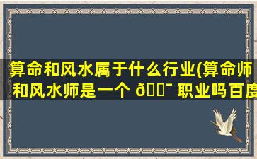 算命和风水属于什么行业(算命师和风水师是一个 🐯 职业吗百度知道)